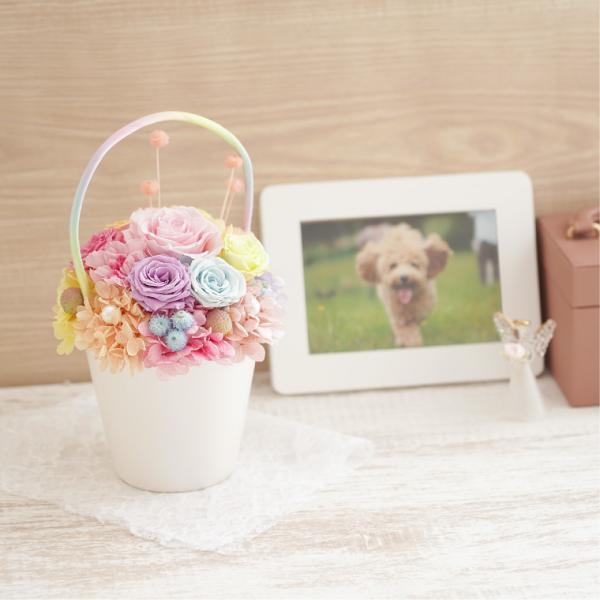 ペット お供え 花 虹の橋 トゥインクルローズ プリザーブドフラワー