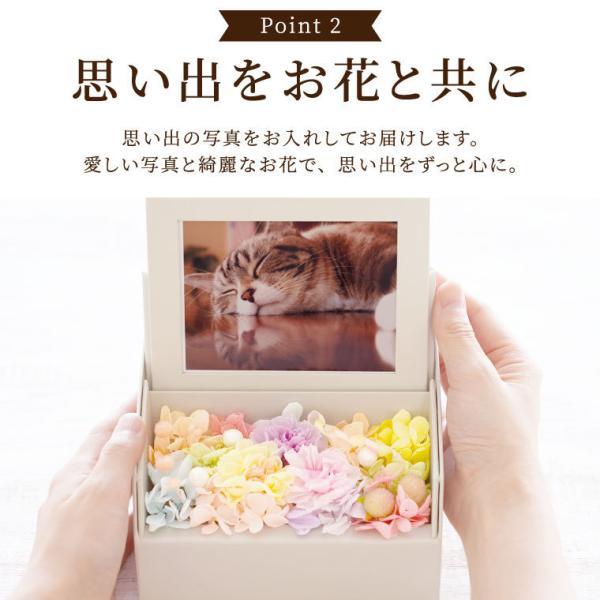 ペット お悔やみ 花 ギフト お供え 虹の橋 フォトボックス フォトフレーム 犬 猫 品物 お花 写真立て プリザーブドフラワー 供花 仏花 贈り物｜kizamu｜04