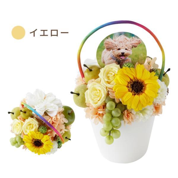 お供え 花 ペット 虹の橋 ガーベラ 写真付き お悔やみ プリザーブド