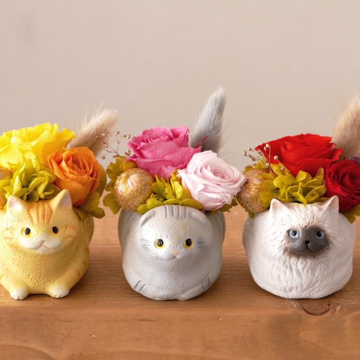 花 誕生日 プレゼント プリザーブドフラワー のんびり 花にゃんこ