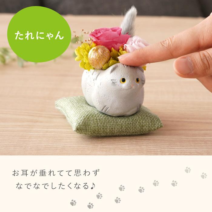 花 誕生日 プレゼント プリザーブドフラワー のんびり 花にゃんこ