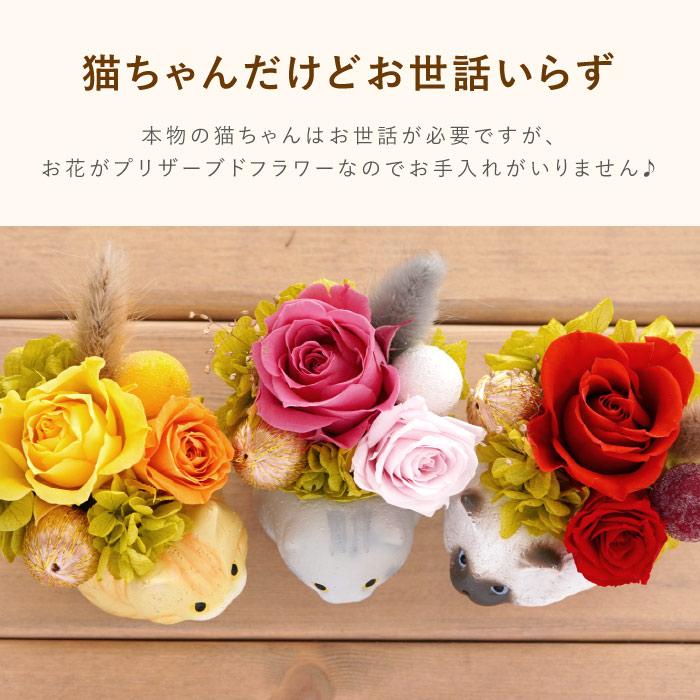 花 誕生日 プレゼント プリザーブドフラワー のんびり 花にゃんこ