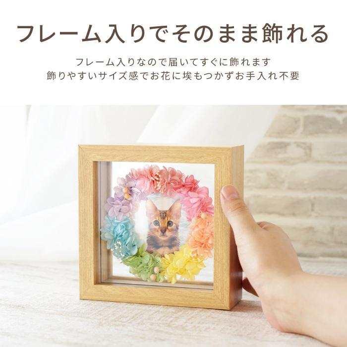 ペット お供え お悔やみ 花 ギフト 虹の橋 エターナル 犬 猫 ペット お供え お悔やみ 花 ギフト 虹の橋 エターナル 犬 猫