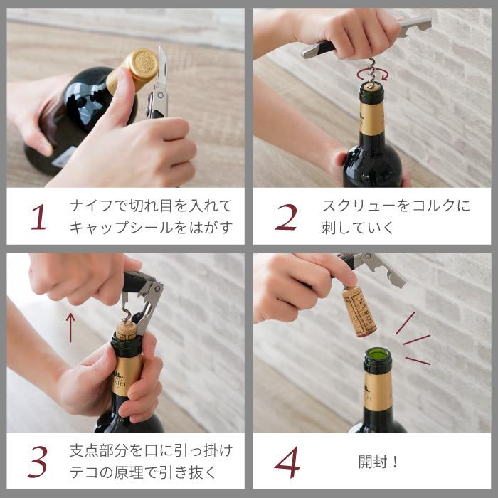 ボルドーワイン 名入れ 赤ワイン 飲み比べ 2本 セット
