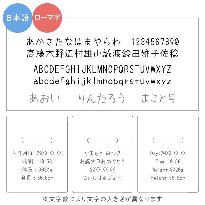 誕生日 プレゼント 1歳 名入れ 名前入り ギフト 日本製 積み木トラック 女の子 男の子 2歳 おしゃれ 入園祝い 出産祝い 姪 甥 孫 木製 タイムセール 贈り物 3歳