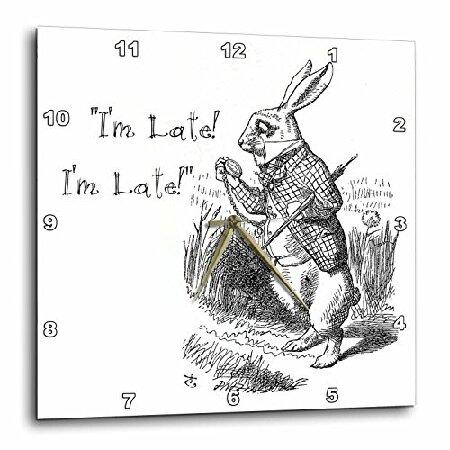 高級感 イラスト テニエル John Late I M 白ウサギ 不思議の国のアリス 3drose 壁時計 15インチ X 15 ワインラック Lifeinlacruz Com