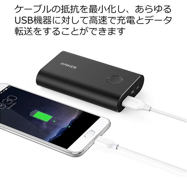 翌日発送可能】 Anker PowerLine USB-C USB-A 2.0 ケーブル 3.0m レッド Galaxy S10 