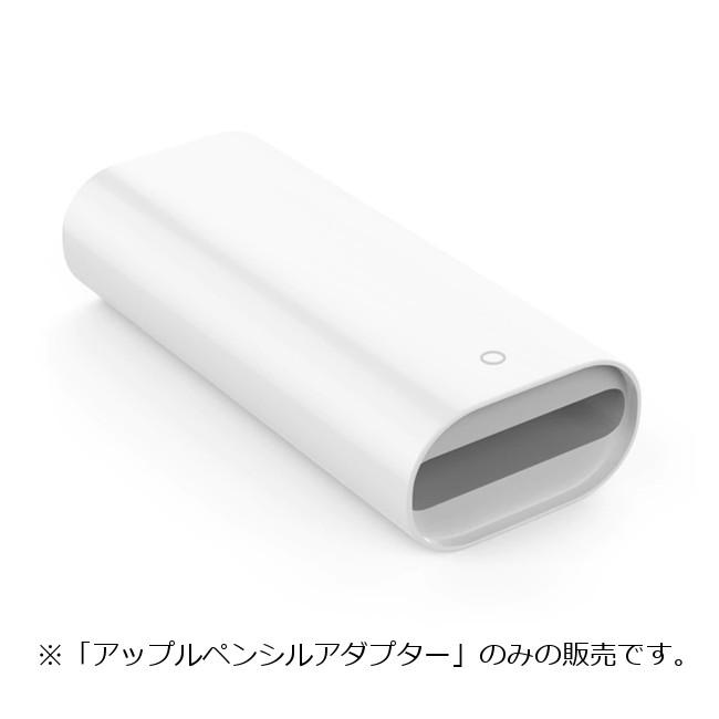 Apple Pencil 充電アダプター 第一世代用 ライトニング端子 Type Apple Pencil 充電アダプター 第一世代用 ライトニング端子 Type