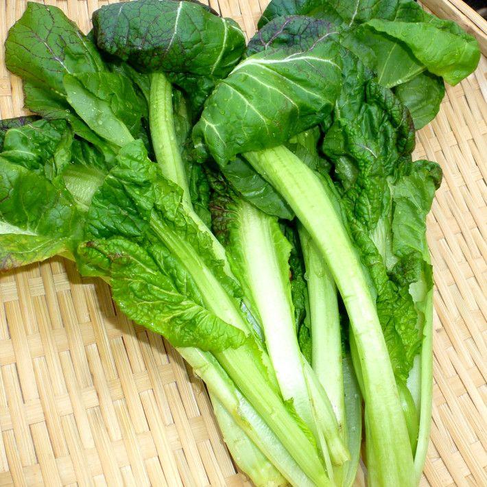 高菜 栽培期間中農薬不使用 約300g : 畑からの贈り物きづファーム