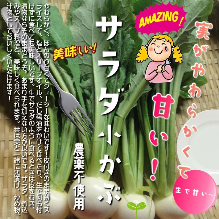 トラスト サラダ小かぶ 栽培期間中農薬不使用 １束約３５０ｇ