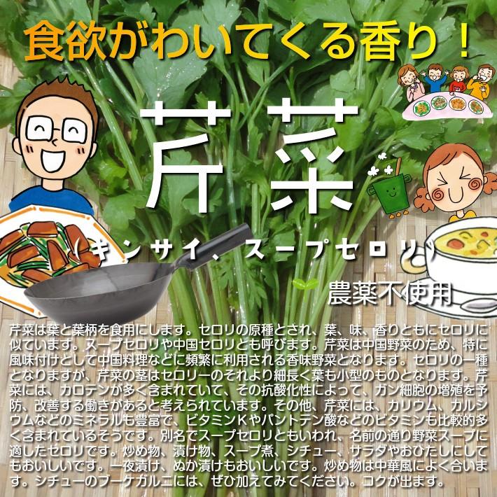 芹菜（キンサイ、スープセロリ）　栽培期間中農薬不使用　１束♪