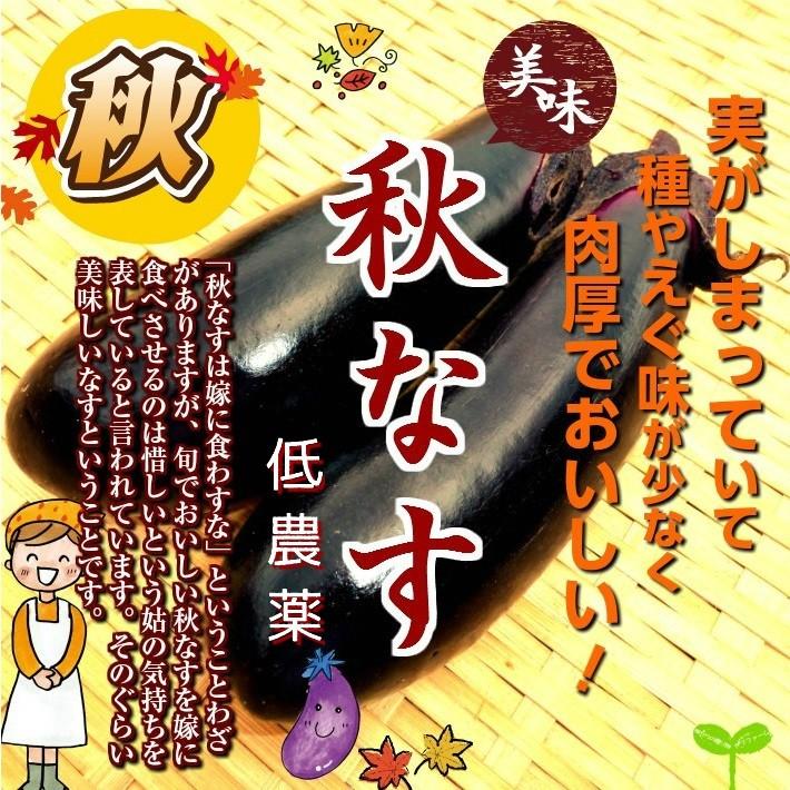 現品限り一斉値下げ 秋なす 栽培期間中農薬節減 低農薬 １袋２本以上