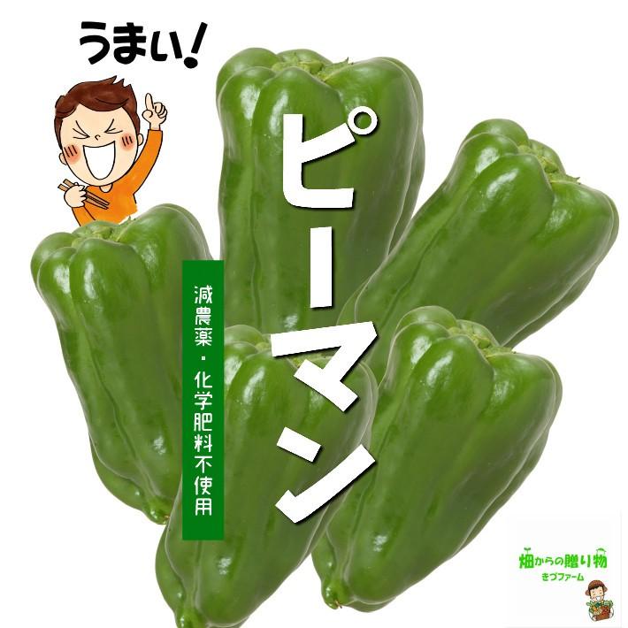暑い時期の常温便配送OK！】ピーマン 減農薬・化学肥料不使用 埼玉県