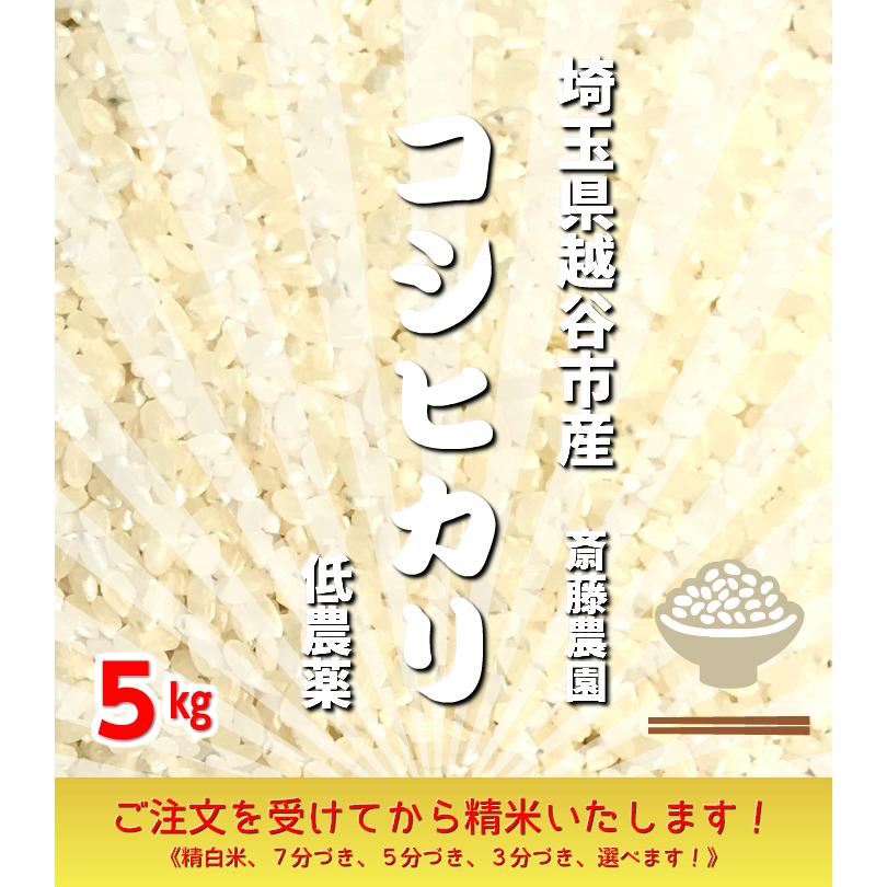 新米！ 低農薬 コシヒカリ ５kg　『令和５年産』　埼玉県越谷市産　ご注文を受けてから精米いたします！　※お一人様１点限りとなります｜kizufarm