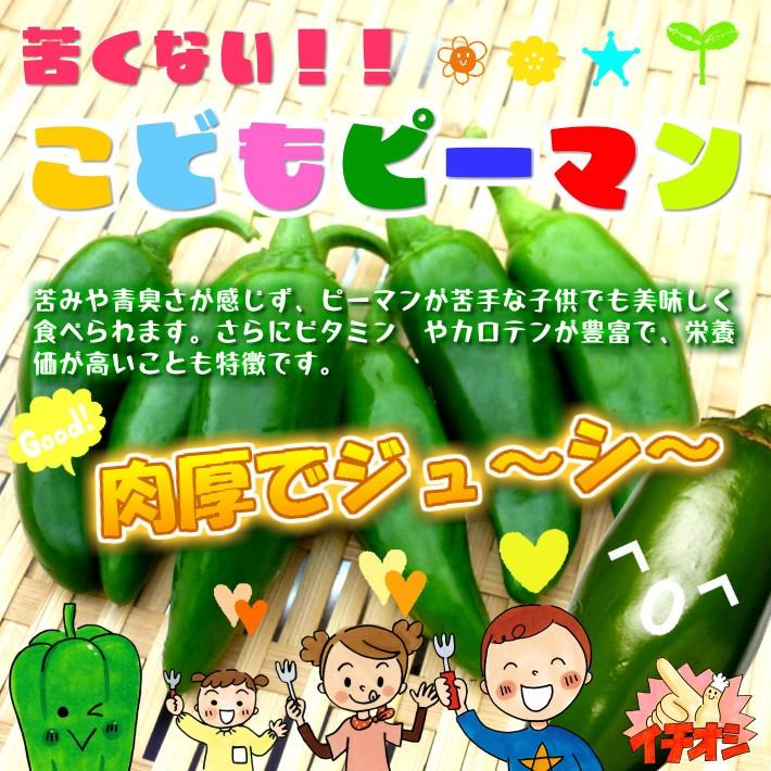 正規取扱店 こどもピーマン 栽培期間中農薬節減 低農薬 １袋約１２０ｇ