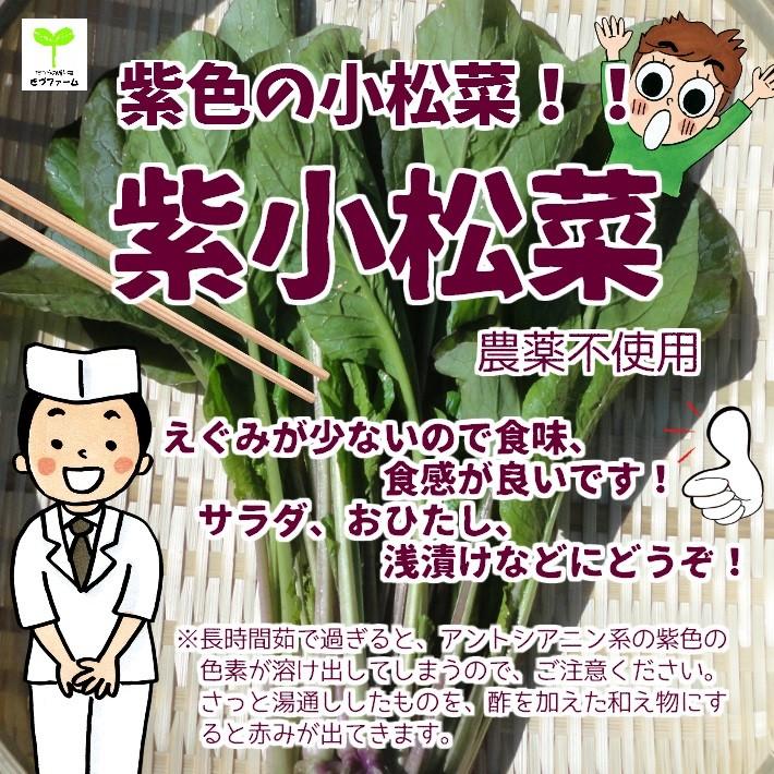 174円 ー品販売 第3類医薬品 ビュークリアキュアコンタクト 12mllt Brgt