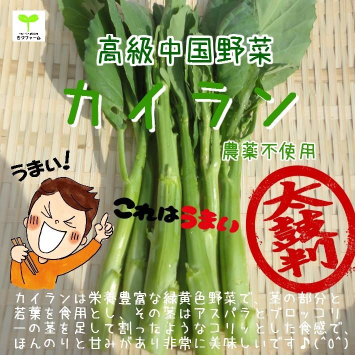 カイラン 芥藍 チャイニーズケール 栽培期間中農薬不使用 １束 234 畑からの贈り物きづファーム 通販 Yahoo ショッピング