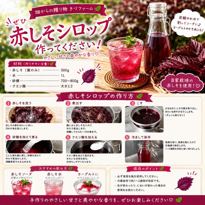 赤じそ(赤紫蘇、赤しそ) ☆農薬や化学肥料は使用しておりません 埼玉県
