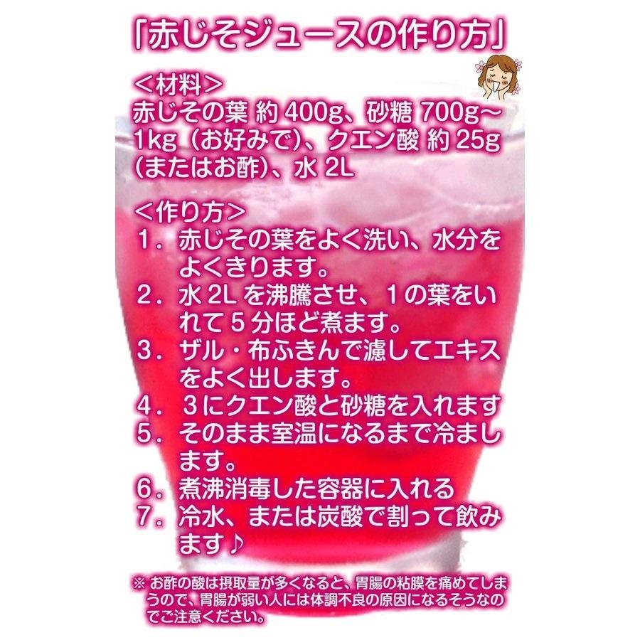 赤じそ(赤紫蘇、赤しそ) ☆農薬や化学肥料は使用しておりません