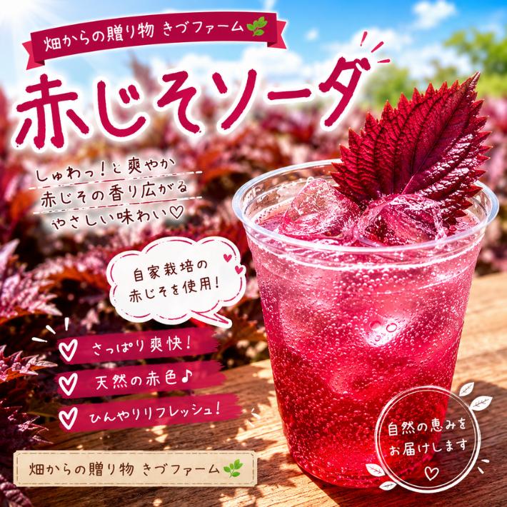 赤じそ(赤紫蘇、赤しそ) ☆農薬や化学肥料は使用しておりません 埼玉県