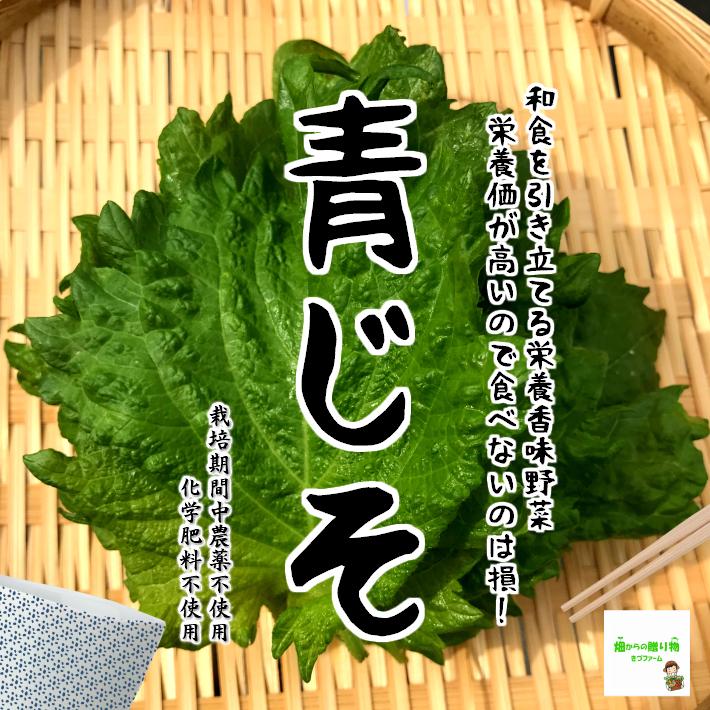 青じそ 大葉 栽培期間中農薬不使用 化学肥料不使用 １袋約１３ １５枚 虫食いがある場合あり 茎についたままお届けする場合があります 29 畑からの贈り物きづファーム 通販 Yahoo ショッピング