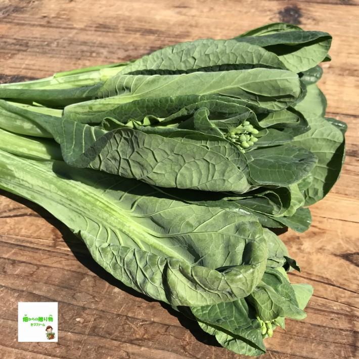 小松菜の菜花 低農薬 化学肥料不使用 １束 299 畑からの贈り物きづファーム 通販 Yahoo ショッピング