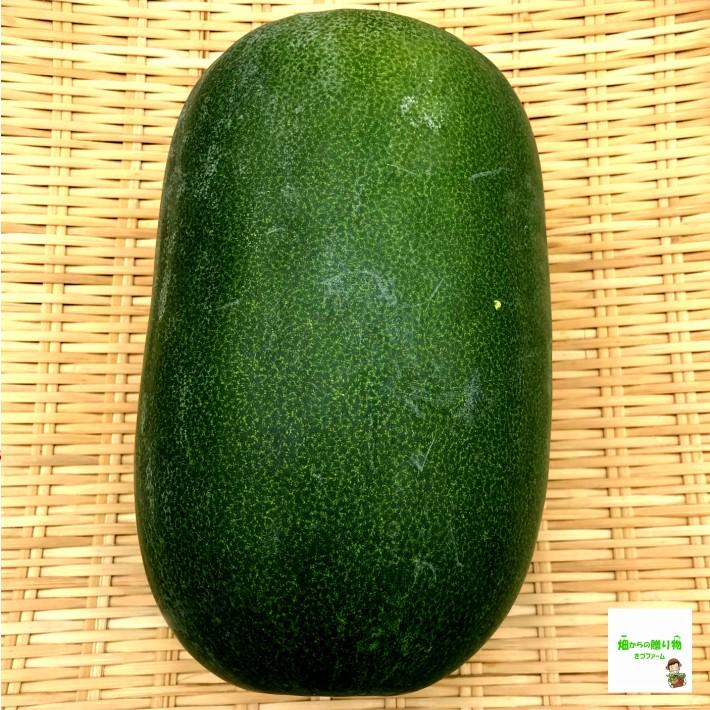 暑い時期の常温便配送ｏｋ ミニとうがん 栽培期間中農薬不使用 化学肥料不使用 １個 354 畑からの贈り物きづファーム 通販 Yahoo ショッピング