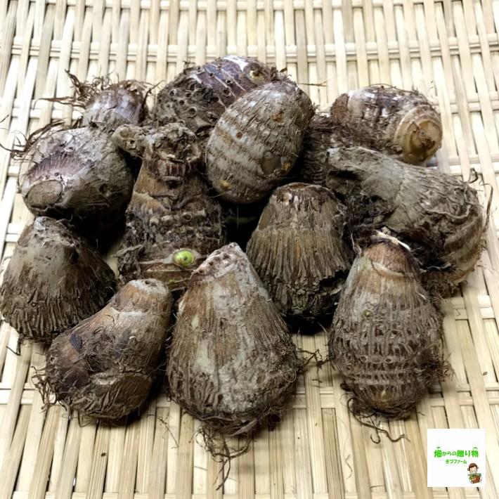 里芋 栽培期間中農薬不使用 化学肥料不使用 埼玉県産 １袋約４００ｇ 42 畑からの贈り物きづファーム 通販 Yahoo ショッピング