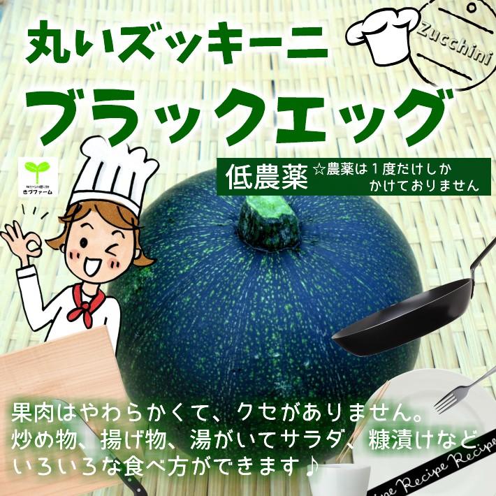 丸いズッキーニ ブラックエッグ 栽培期間中農薬節減 低農薬 １個 もしくは小さいのが２個 432 畑からの贈り物きづファーム 通販 Yahoo ショッピング