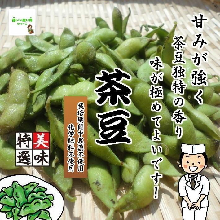 茶豆 栽培期間中農薬不使用 新着商品 枝付き約２５０ｇ 最新入荷