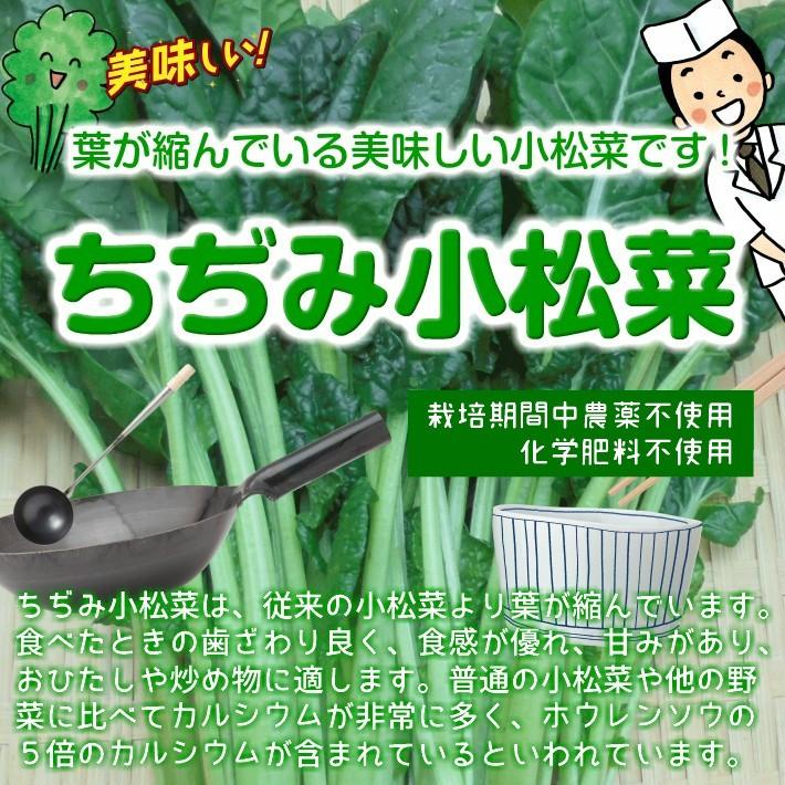 ちぢみ小松菜 栽培期間中農薬不使用 化学肥料不使用 １束 466 畑からの贈り物きづファーム 通販 Yahoo ショッピング