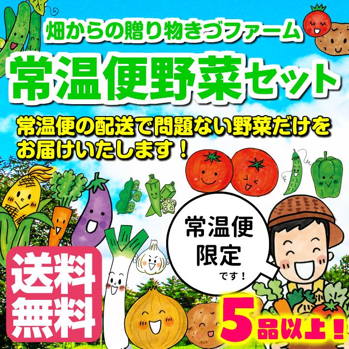 【送料無料(佐川急便限定の常温便)】常温便野菜セット　農薬不使用、減農薬、化学肥料不使用など　５品以上！　※葉物野菜は入りません。｜kizufarm