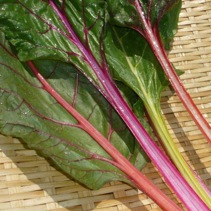 西洋野菜♪ スイスチャード 栽培期間中農薬不使用・化学肥料不使用 1束