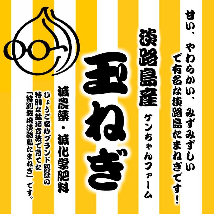 兵庫県淡路島産 ケンちゃんファーム 玉ねぎ(たまねぎ) 減農薬・減化学肥料 約500g♪