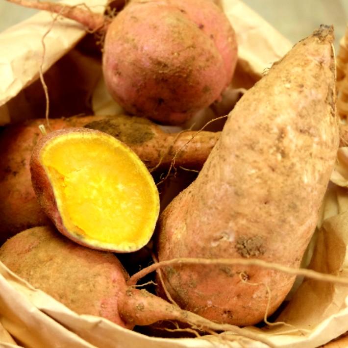 鹿児島県種子島産 さつまいも安納芋 農薬不使用・化学肥料不使用（特別
