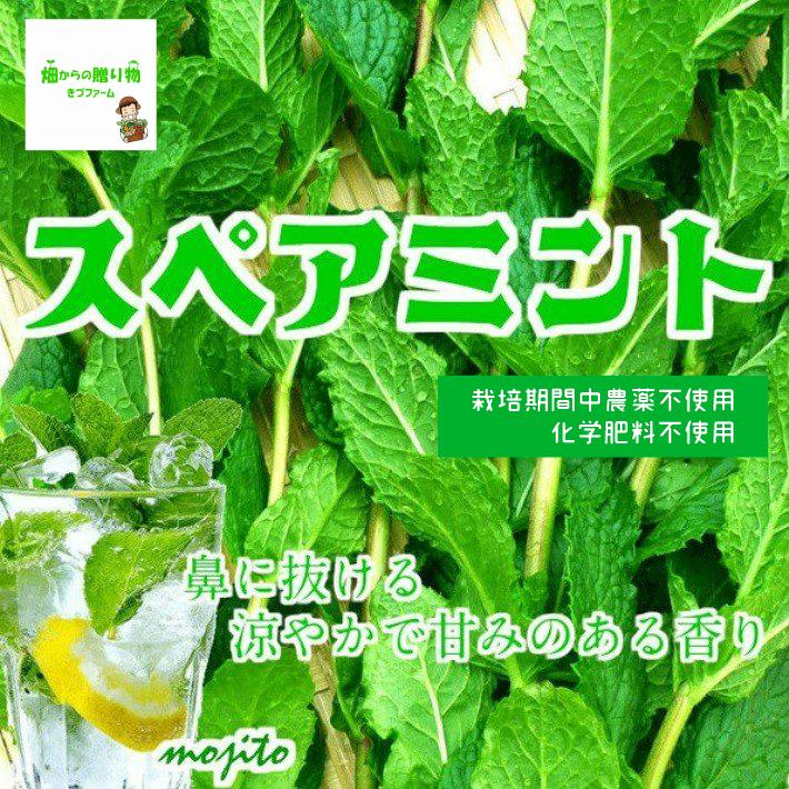 スペアミント 栽培期間中農薬不使用 化学肥料不使用 １袋約２０g こちらは種ではなく 生のスペアミントになります 67 畑からの贈り物きづファーム 通販 Yahoo ショッピング
