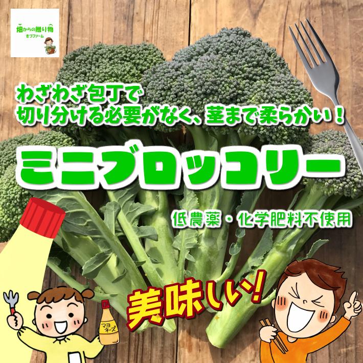 農薬不使用〜にこファーム〜ページ ミニブロッコリー 低農薬・化学肥料不使用 埼玉県産 1袋約150g