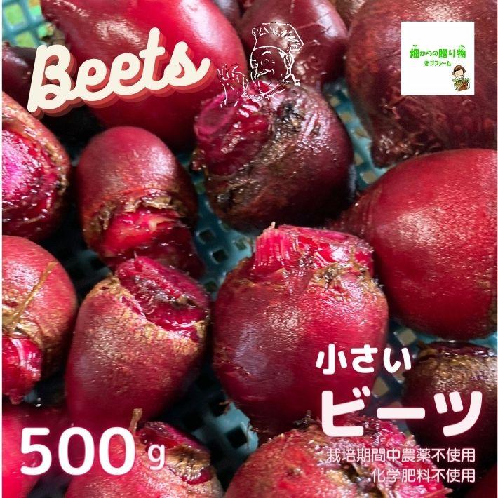 小さいビーツ ☆農薬や化学肥料は使用しておりません 約500g