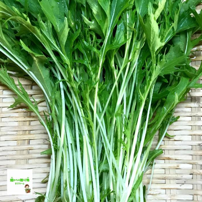 サラダ水菜（みず菜） ☆農薬や化学肥料は使用しておりません 埼玉県産