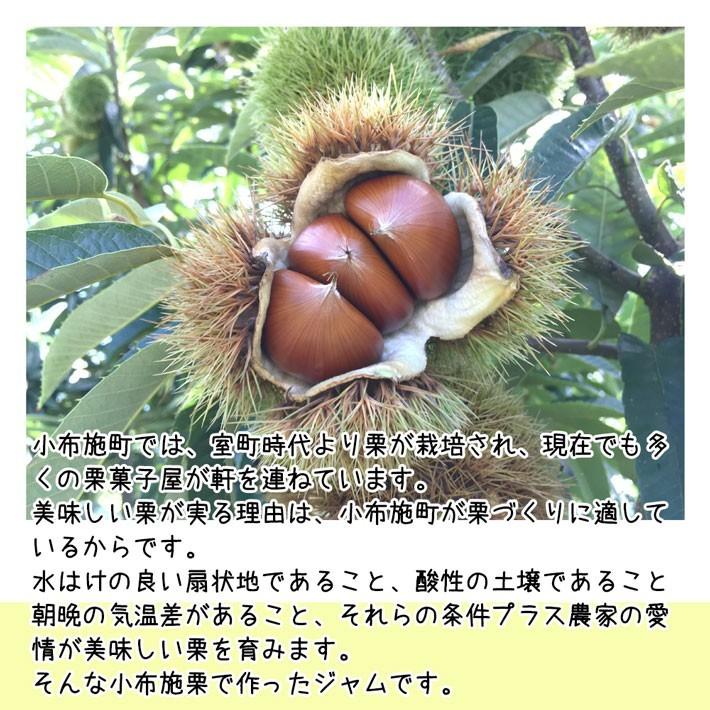 9月下旬〜10月上旬 小布施栗 3キロ : Su-eat Farm - 通販 - Yahoo
