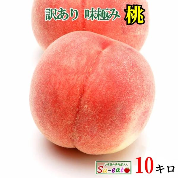 8月中旬 なつっこ 訳あり 減農薬 長野県産 10キロ : Su-eat Farm