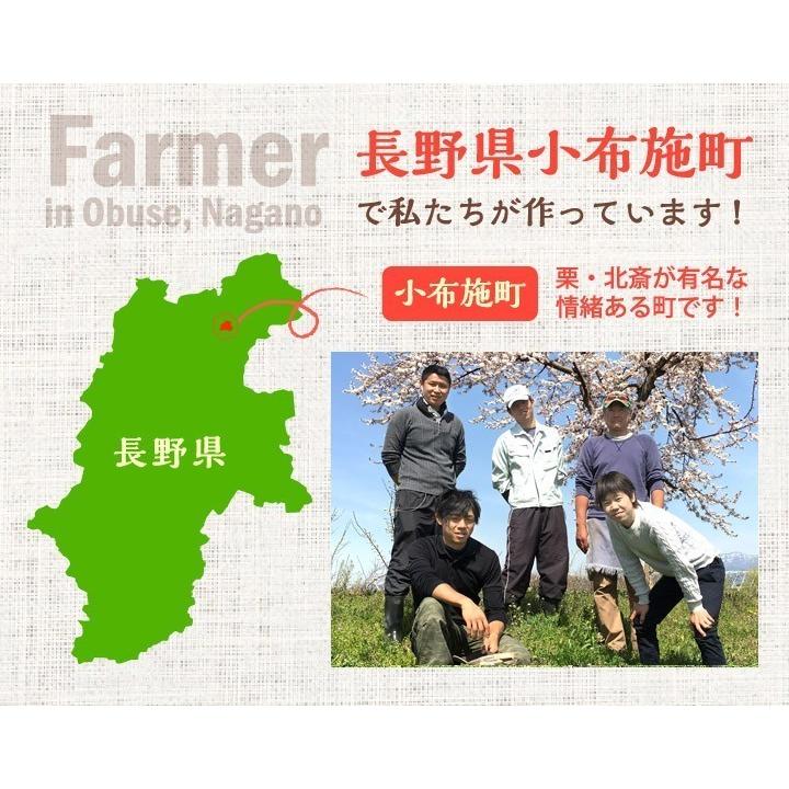 8月中旬 なつっこ 訳あり 減農薬 長野県産 10キロ : Su-eat Farm