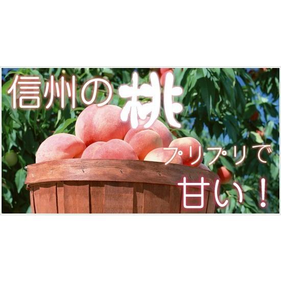 8月中旬 なつっこ 訳あり 減農薬 長野県産 10キロ : Su-eat Farm