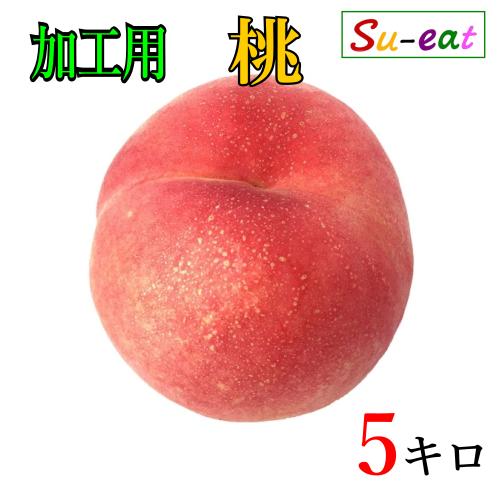 暁星 摘果桃 加工用 カリカリ 10kg 桃 ふくしま未来農業協同組合 特秀品の桃：暁星 (ぎょうせい) | G