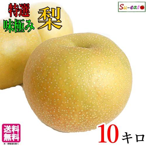 9月下旬 特選 南水 梨 減農薬 長野県産 10キロ : Su-eat Farm - 通販