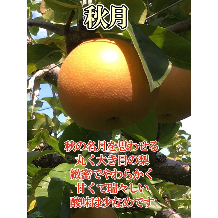 9月下旬 特選 南水 梨 減農薬 長野県産 10キロ : Su-eat Farm - 通販