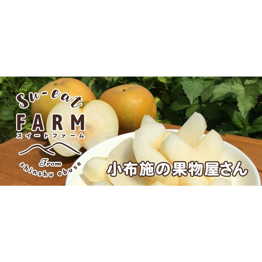 9月下旬 特選 南水 梨 減農薬 長野県産 10キロ : Su-eat Farm - 通販