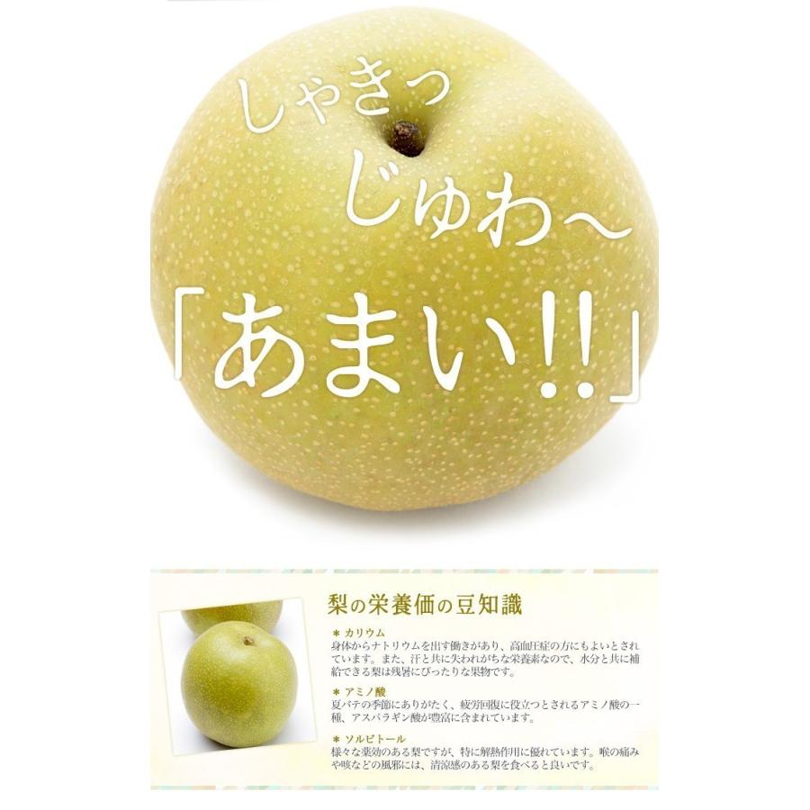 (10玉〜12玉サイズ南水梨)約10kg贈答用★送料込★秋田県産 9月下旬 特選 南水 梨 減農薬 長野県産 10キロ : Su-eat Farm - 通販