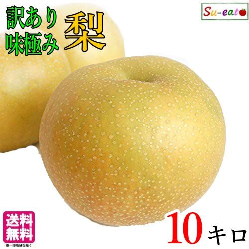 9月下旬 南水 梨 訳あり 減農薬 長野県産 10キロ : Su-eat Farm - 通販