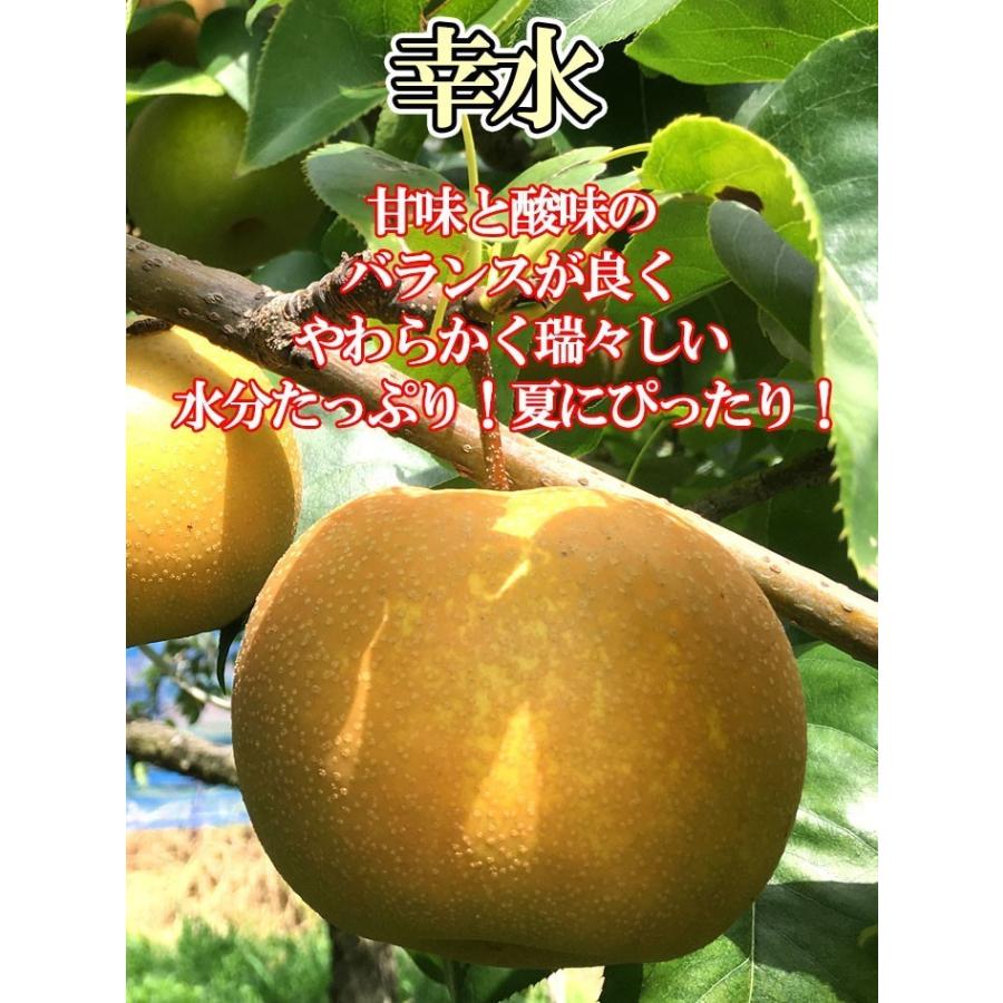 9月下旬 南水 梨 訳あり 減農薬 長野県産 10キロ : Su-eat Farm - 通販
